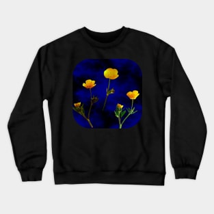 Buttercup Blue Crewneck Sweatshirt